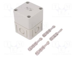 TK-PS-77-8-M - SPELSBERG