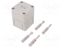 TK-PS-77-8-O - SPELSBERG