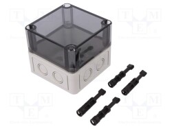 TK-PS-99-8-TM - SPELSBERG