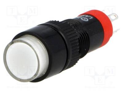 V10Y-11Z-24W - 2