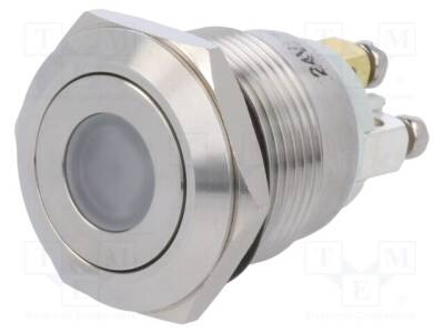 V19-10FD-24G-S - 1
