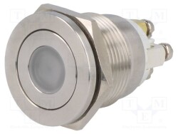 V19-10PFD-12Y-S - ONPOW