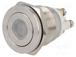 V19-10PFD-24R-S - ONPOW