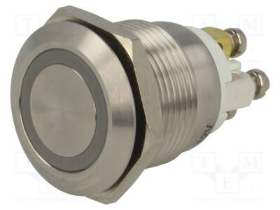 V19-10R-12RG-S - 2