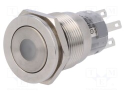 V19-21PFD-12G-S - ONPOW