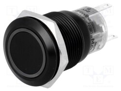 V19B-11R-24B-S - ONPOW