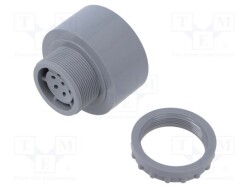 WER-11906828 - WERMA