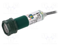 WO-DNPW1 - HIGHLY ELECTRIC