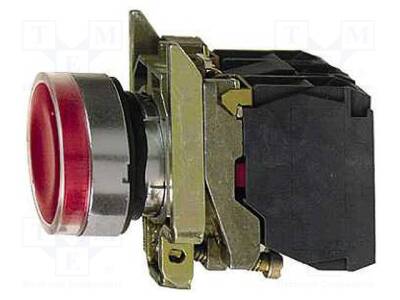 XB4BW34B5 - 1
