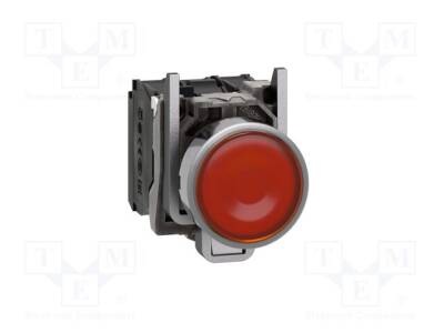 XB4BW35M5 - 1
