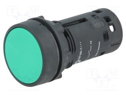 XB7NA31 - SCHNEIDER ELECTRIC