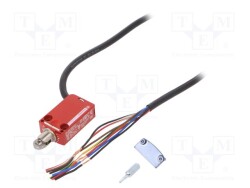 XCSM3902L2 - TELEMECANIQUE SENSORS