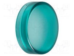 ZBV013 - SCHNEIDER ELECTRIC